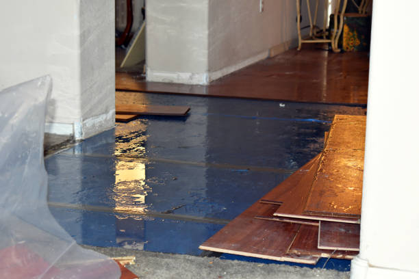 Professional Flood Cleanup technician working in Bridgeport, CT